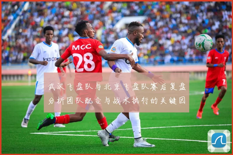 武汉飞盘队与北京飞盘队赛后复盘分析团队配合与战术执行的关键因素