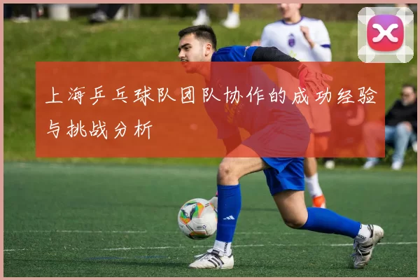上海乒乓球队团队协作的成功经验与挑战分析