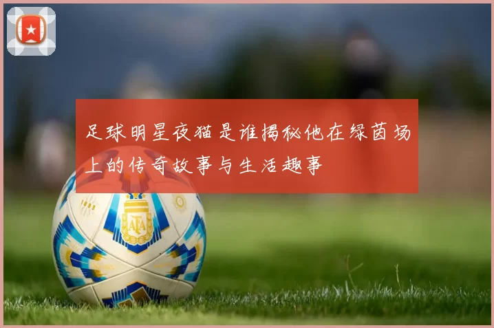 足球明星夜猫是谁揭秘他在绿茵场上的传奇故事与生活趣事
