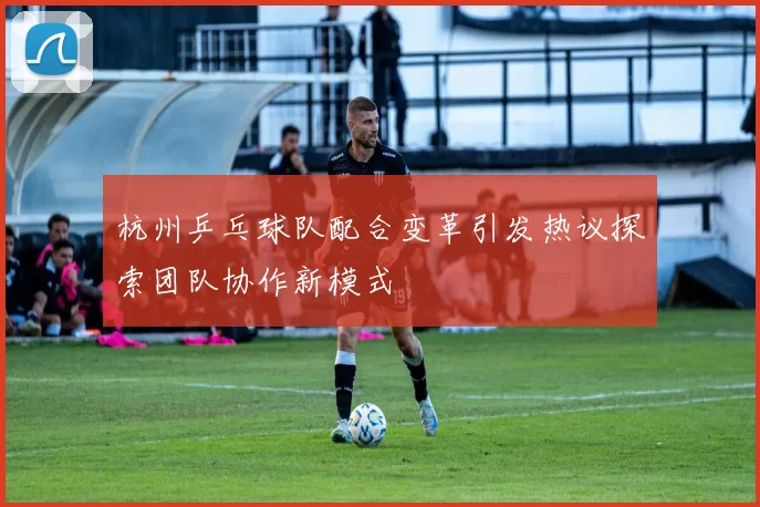 杭州乒乓球队配合变革引发热议探索团队协作新模式