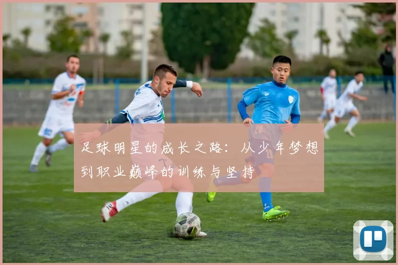 足球明星的成长之路：从少年梦想到职业巅峰的训练与坚持