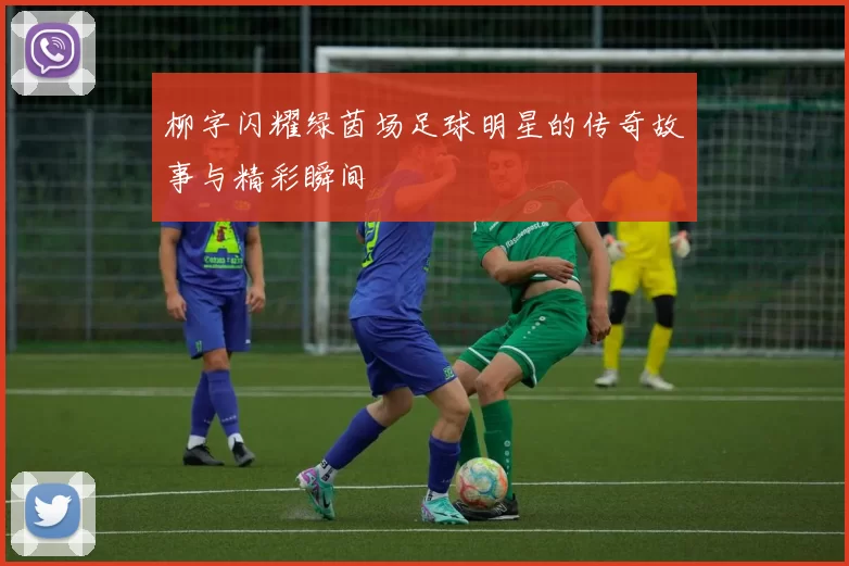 柳字闪耀绿茵场足球明星的传奇故事与精彩瞬间