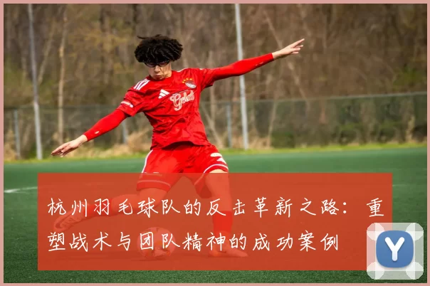 杭州羽毛球队的反击革新之路：重塑战术与团队精神的成功案例