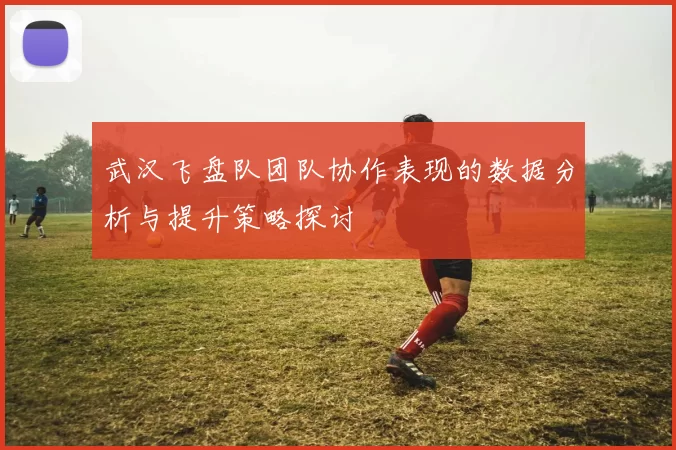 武汉飞盘队团队协作表现的数据分析与提升策略探讨