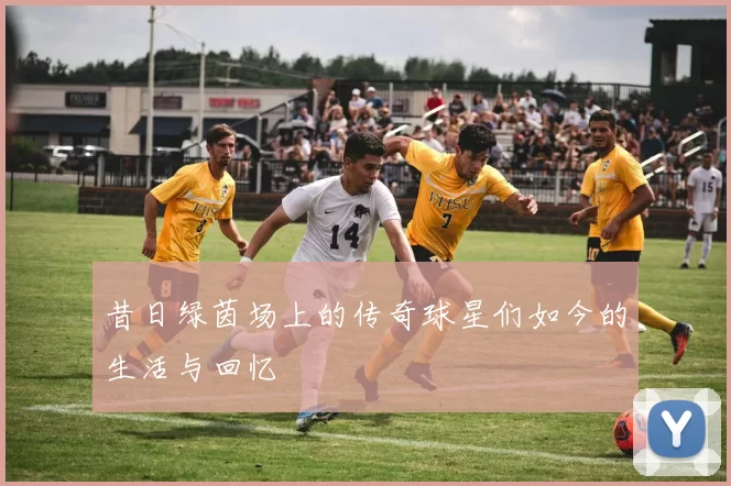 昔日绿茵场上的传奇球星们如今的生活与回忆