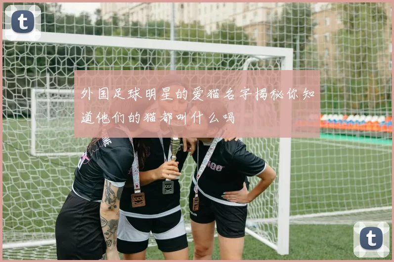 外国足球明星的爱猫名字揭秘你知道他们的猫都叫什么吗