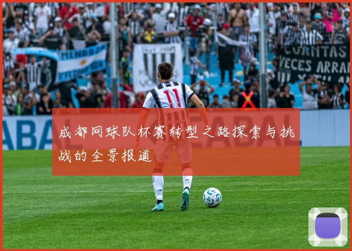 成都网球队杯赛转型之路探索与挑战的全景报道