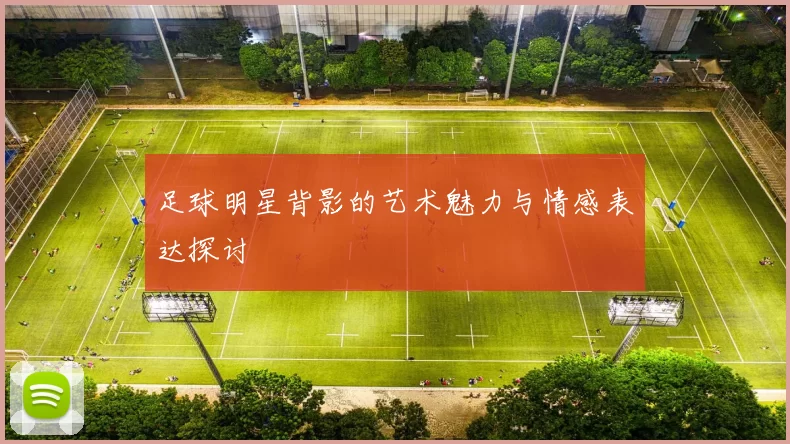 足球明星背影的艺术魅力与情感表达探讨
