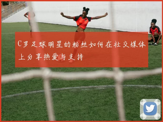 C罗足球明星的粉丝如何在社交媒体上分享热爱与支持