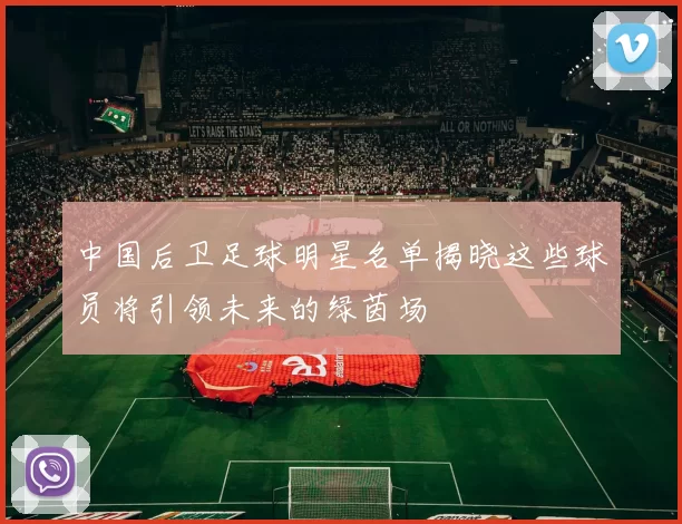 中国后卫足球明星名单揭晓这些球员将引领未来的绿茵场