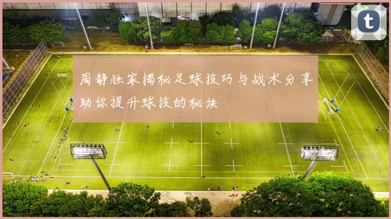 周静独家揭秘足球技巧与战术分享助你提升球技的秘诀