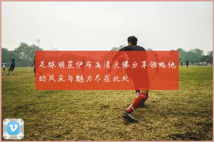 足球明星伊布高清头像分享领略他的风采与魅力尽在此处