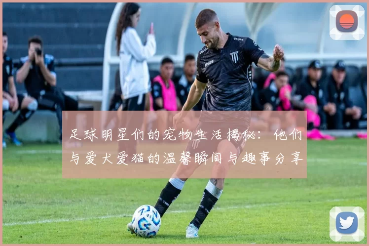 足球明星们的宠物生活揭秘：他们与爱犬爱猫的温馨瞬间与趣事分享