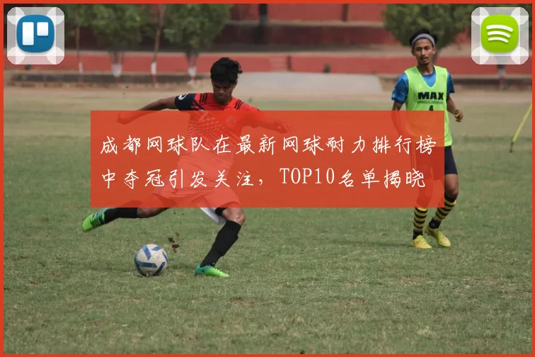 成都网球队在最新网球耐力排行榜中夺冠引发关注，TOP10名单揭晓