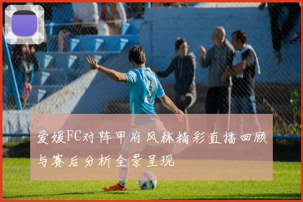 爱媛FC对阵甲府风林精彩直播回顾与赛后分析全景呈现