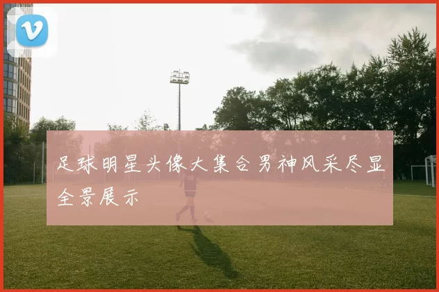 足球明星头像大集合男神风采尽显全景展示