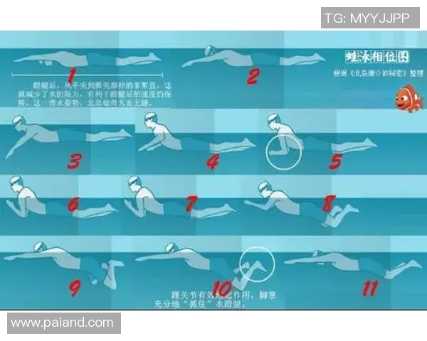 游泳动作解析与技巧提升全面指南：从基础到高级训练的细节与要点