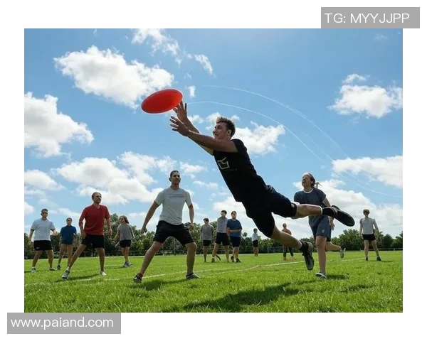 广州飞盘队的意识提升与团队协作探讨聚焦飞盘运动的未来发展
